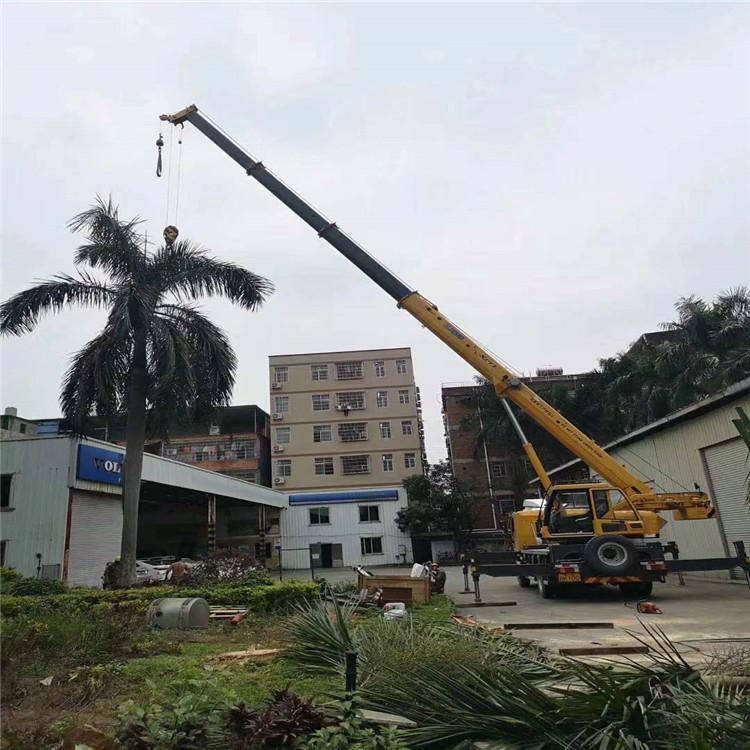 台江吊车出租的费用解析：你不可不知的行业秘密